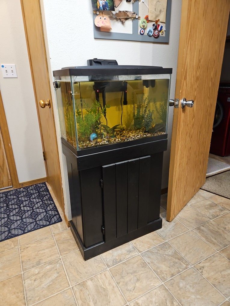 20 Gallon Tall Tank With Stand