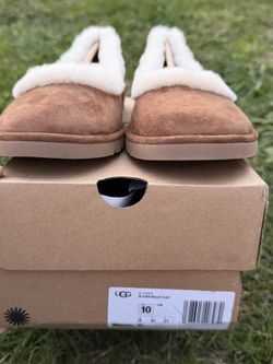 Uggs