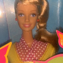 Spanish Teacher Barbie 2 Box Set