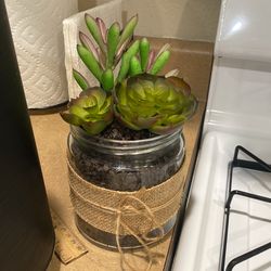 Artificial Succulent Plant
