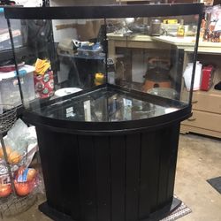 55 Gallon, Corner Aquarium - Accessories, Live Plants And Fish