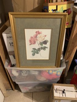 16.5in. W X 20in. L Vintage Pierre Joseph Redoute Rosa Damascena Celsiana Custom Framed Print