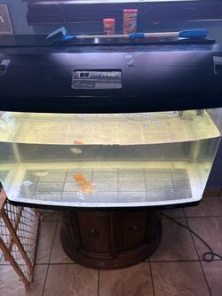 50 Gallon Fish Tank 