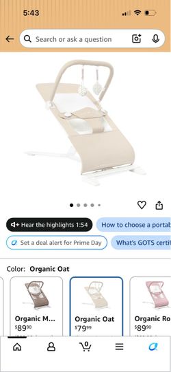 Baby Delight Bouncer