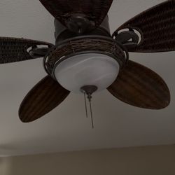 Ceiling Fan with Light 