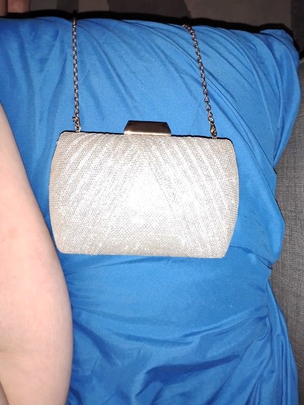 Clutch Purse Silver