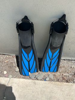Snorkel/Scuba Fins