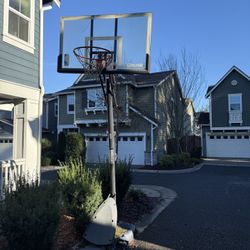 Basketball Hoop And Stand 