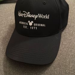 Walt Disney World Hat