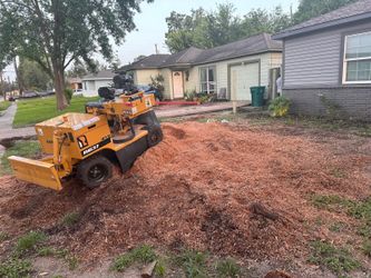 Muelo Troncos  Corto Arboles