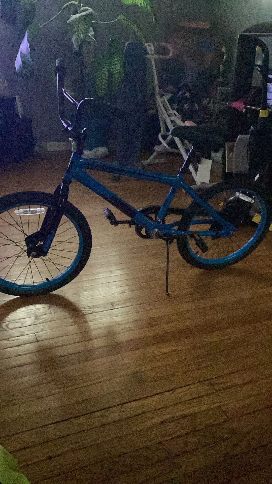 Fearless Bike