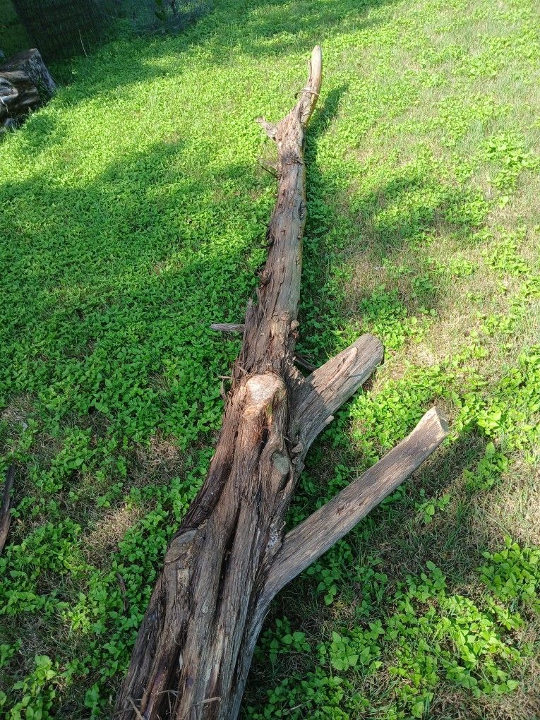 Large Cedar Post