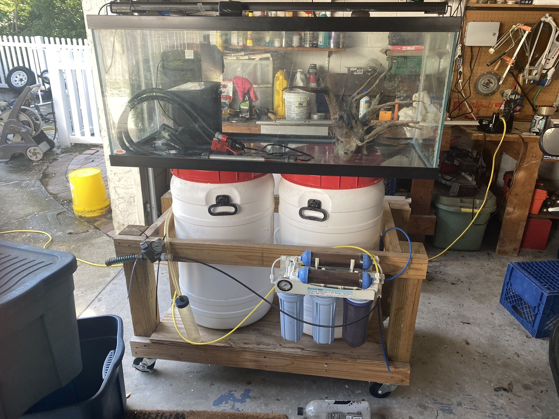 75 Gal Aquarium