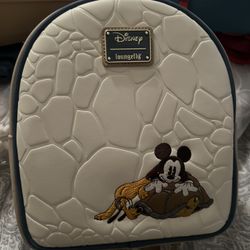 Beautiful Back Pack 