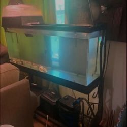 55 Gallon tank And Stand Only