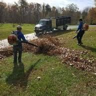 Leaf Removal 🍁🍁 And More