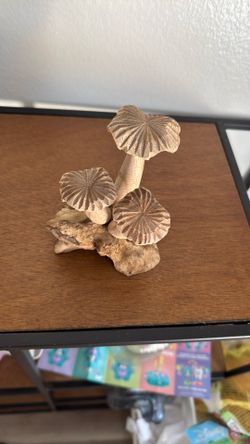 Mushrooms Carving