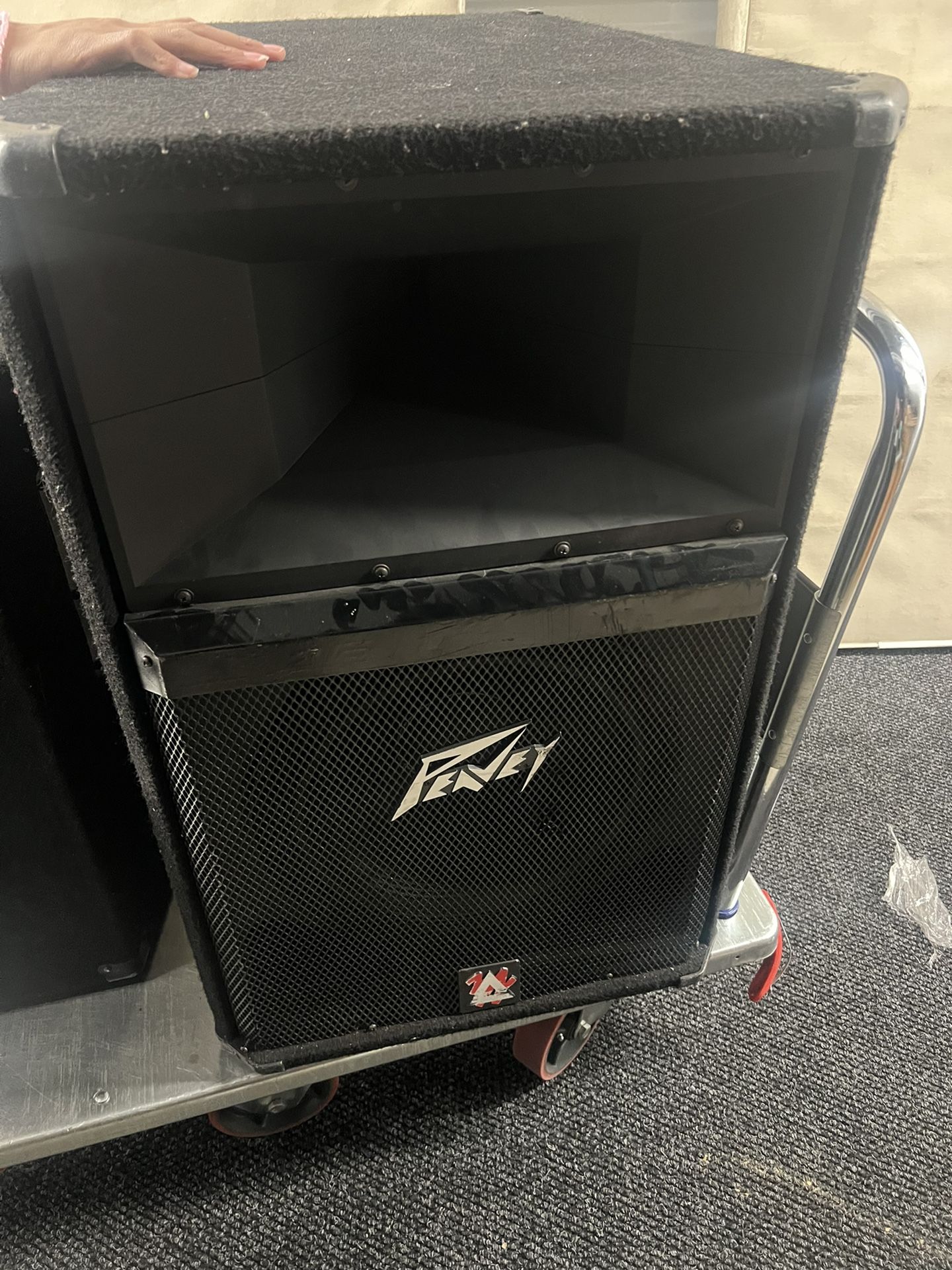 Peavy Speaker