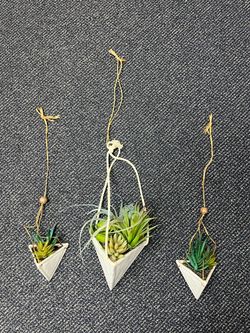Home decor- hanging fake succulents