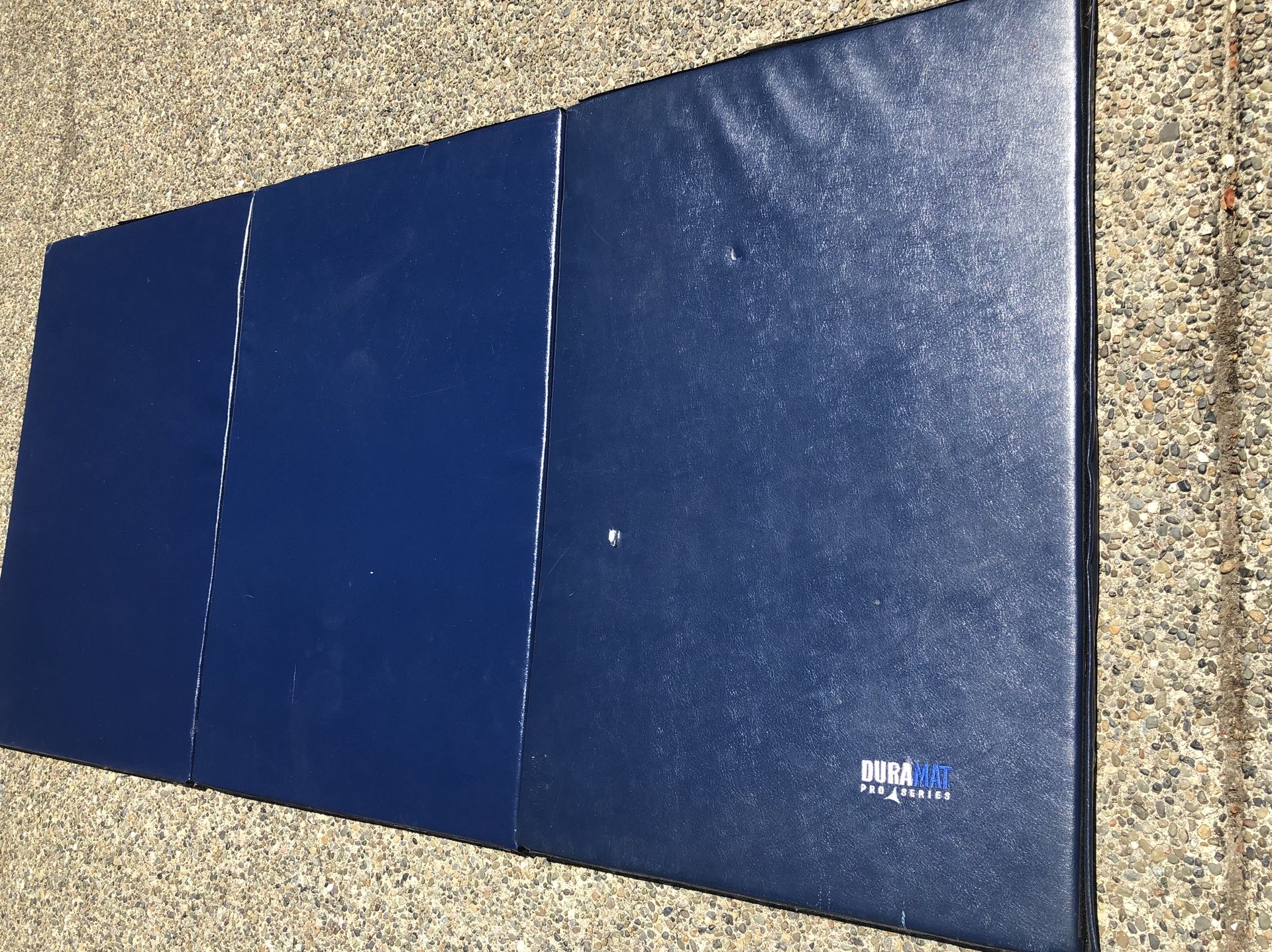 Duramat pro series store gym mat