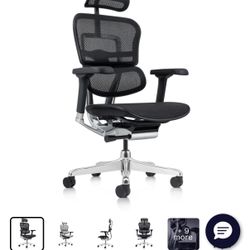 Ergohuman Mesh Ergonomic High-Back Office Chair