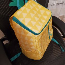 Insulated Backpack