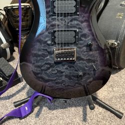 Guitar: PRS Mark Holcomb Se