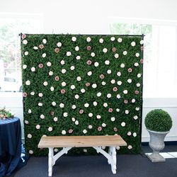 Photo Backdrop