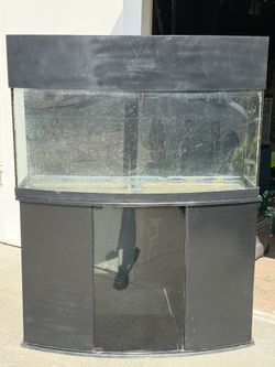 75 Gallon Bow Front Aquarium 
