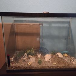 Fish Tank