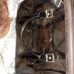 Louis Vuitton Transparent Bag 