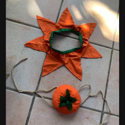 Pumpkin 🎃 Costume For Pet (or Small Child?)