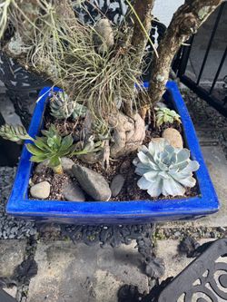 Planter