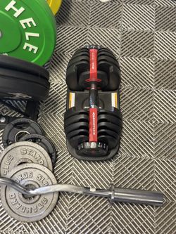Bowflex 552 Adjustable Dumbell set