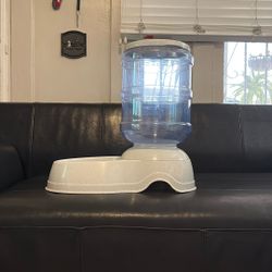 Dog Feeder 
