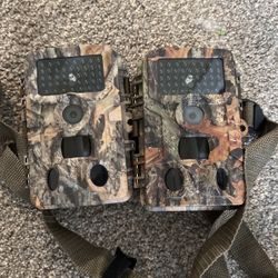 Trail Cameras 