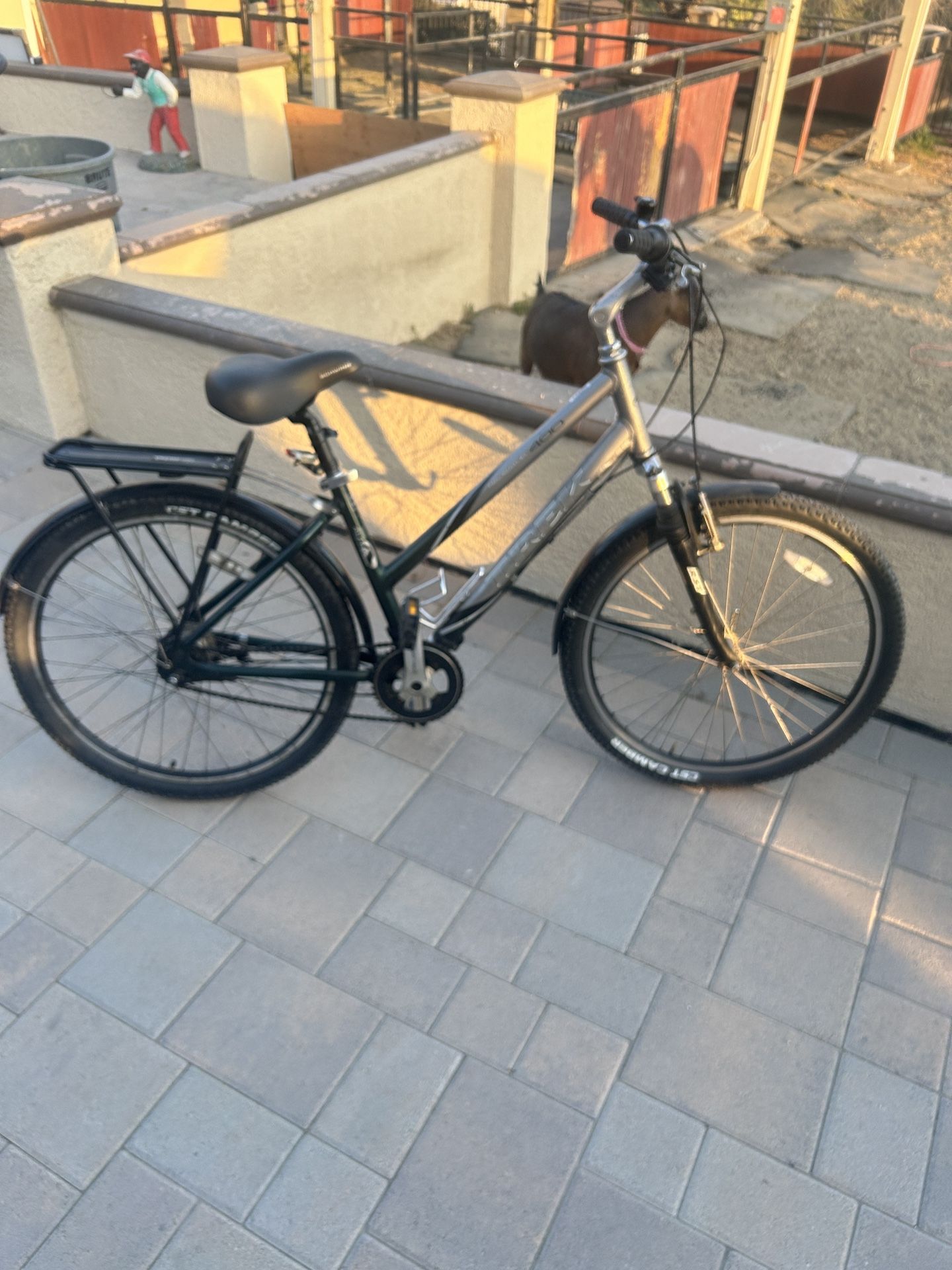 Women’s Trek Hybrid Bike 24”