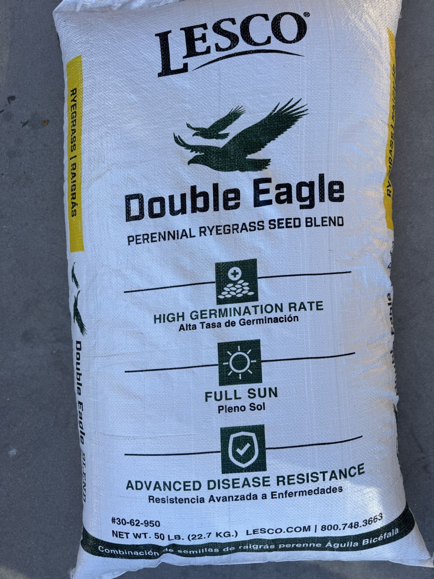 Rye Grass Seed Winter Seed