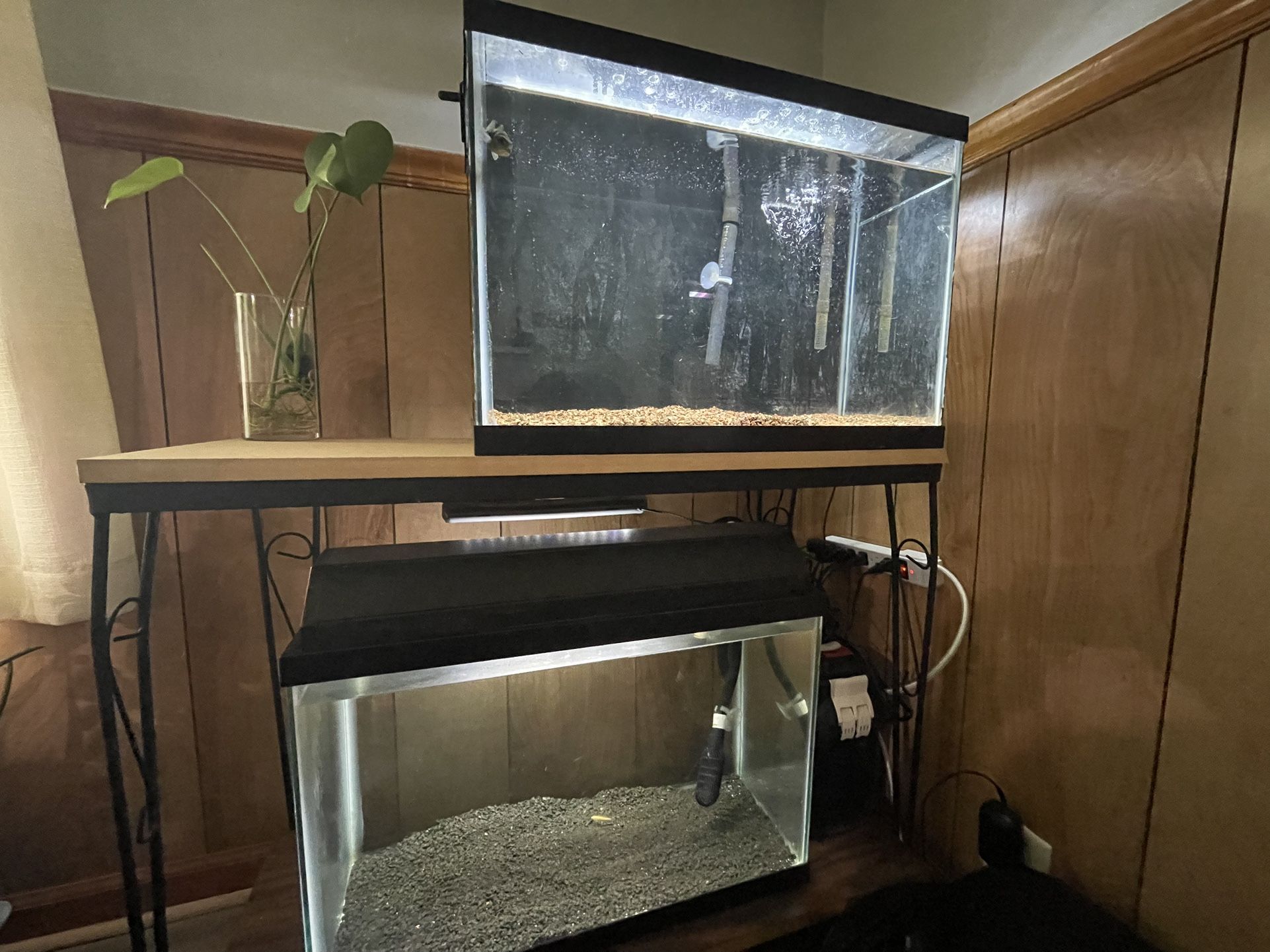 20 Gallon Aquarium