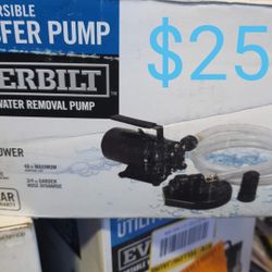 Everbilt Transfer Pump With Hose And Attachment