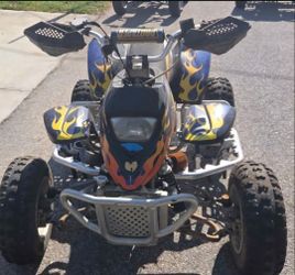 2010  Apex Liquid Cooled Racing 2 Stroke