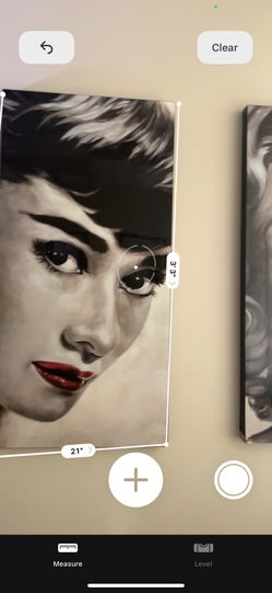 Marilyn Monroe And Audrey Hepburn Frames