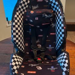 Dale Earnhardt Sr Collectors