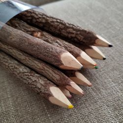 Branch Pencil Set X10