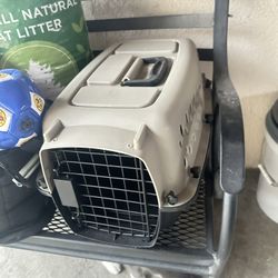 Cat Carrier And Cat Litter 