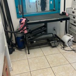 Hydraulic grooming table