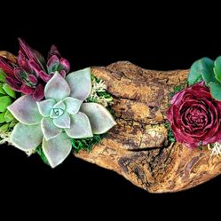 Valentine’s Day Driftwood Succulent Arrangements – One of a Kind