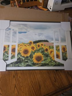 New sunflower print. $
