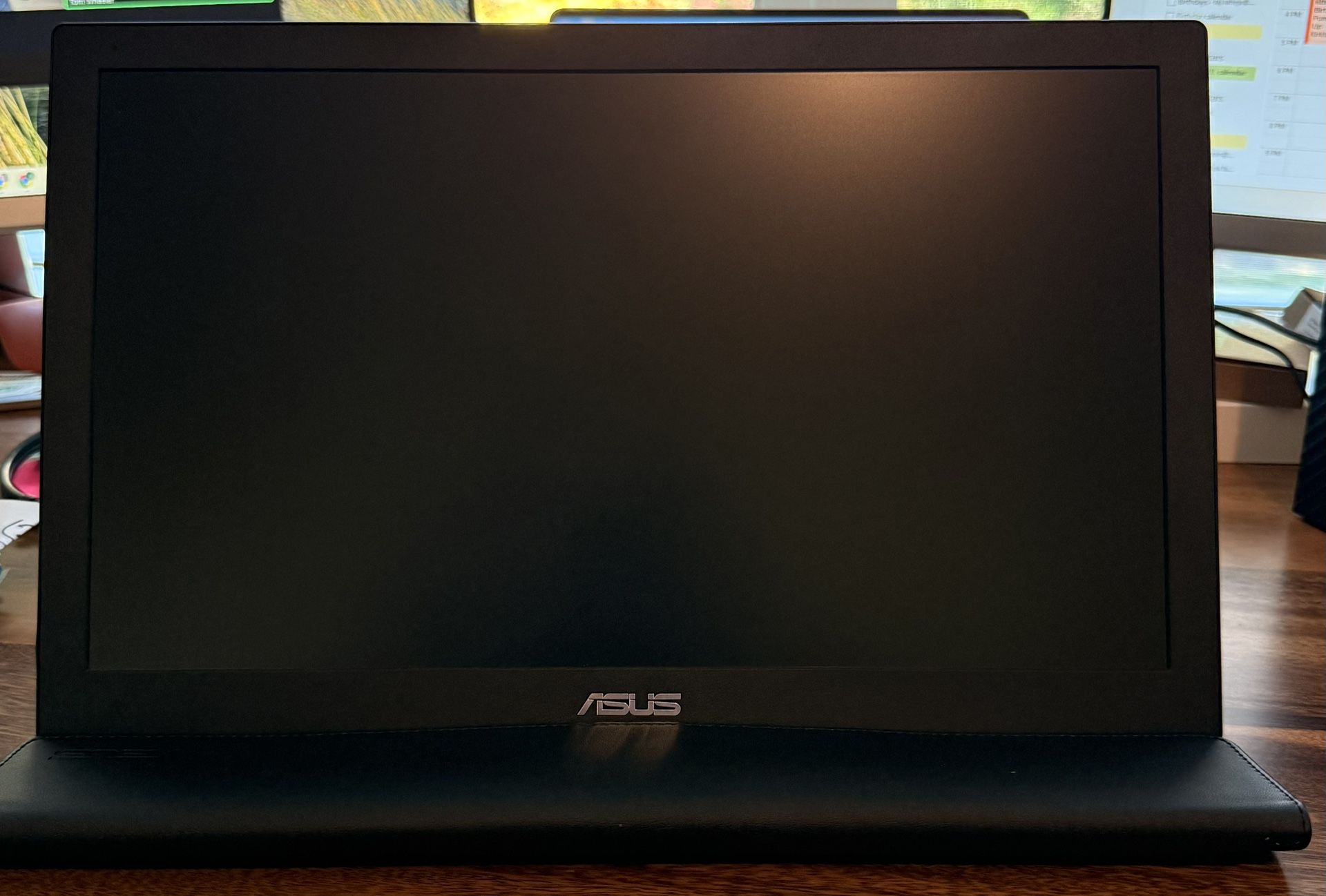 Asus Portable Light Monitor