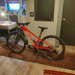 Specialized Youth Mountain Bike 